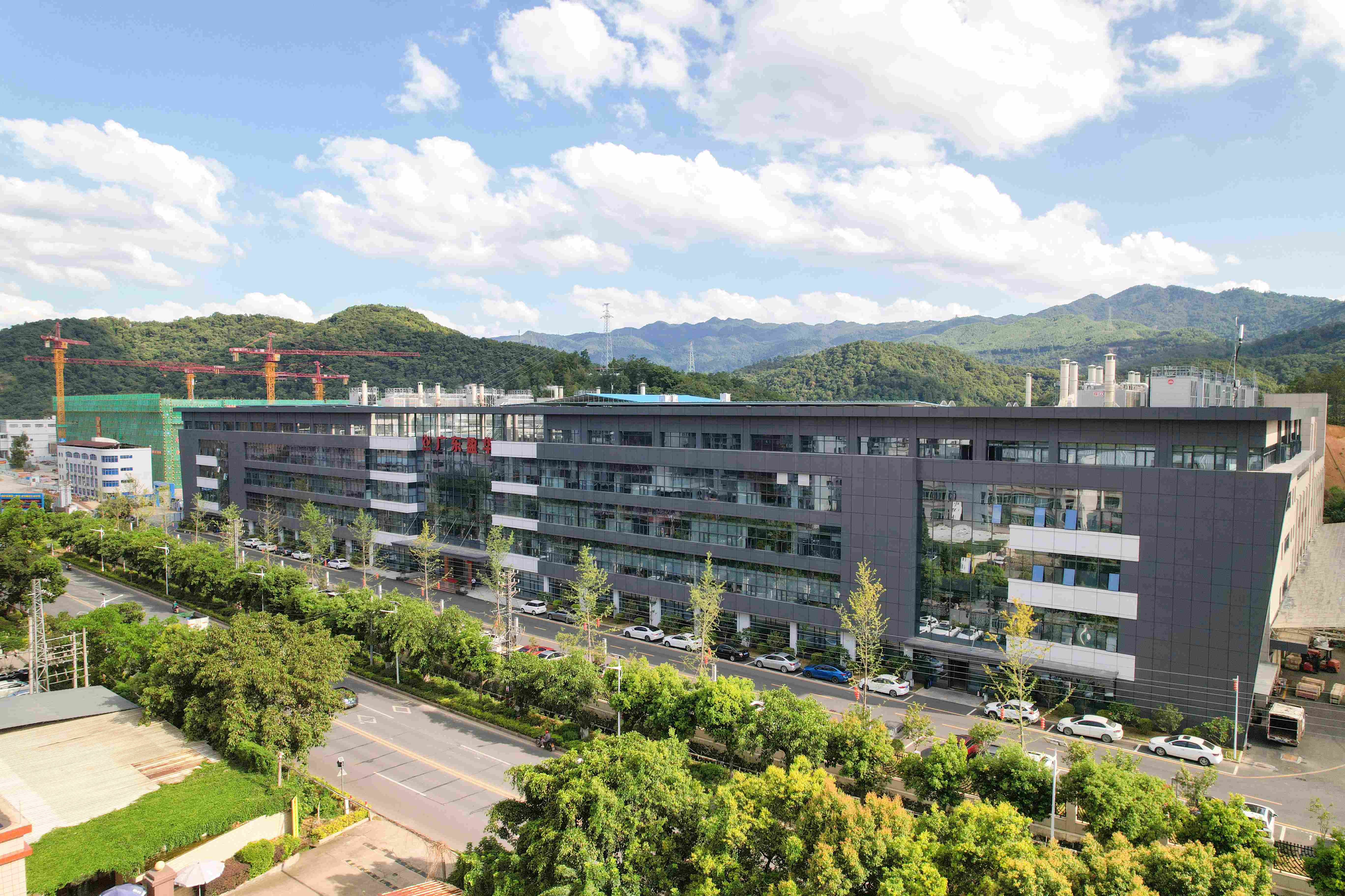 广东WG官网电子科技有限公司